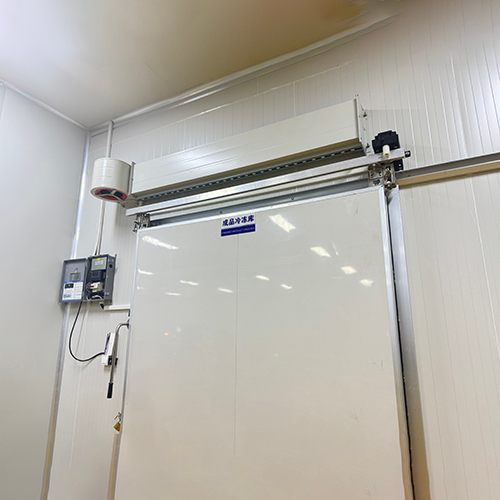 Electric Sliding Door System
