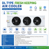 DL Type Industrial Cold Room Unit Cooler Evaporator for Agricultural Fresh Keeping Storage Project