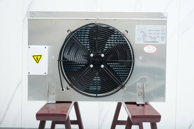 Factory Supply Low Noise DJ Ceiling Mounted Air Cooler for Ice Storage Warehouse