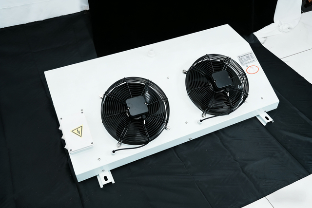 Stainless Steel DL Air Cooler Water Defrost 2 Air Outlets Easy Install for Humid Fresh Storage