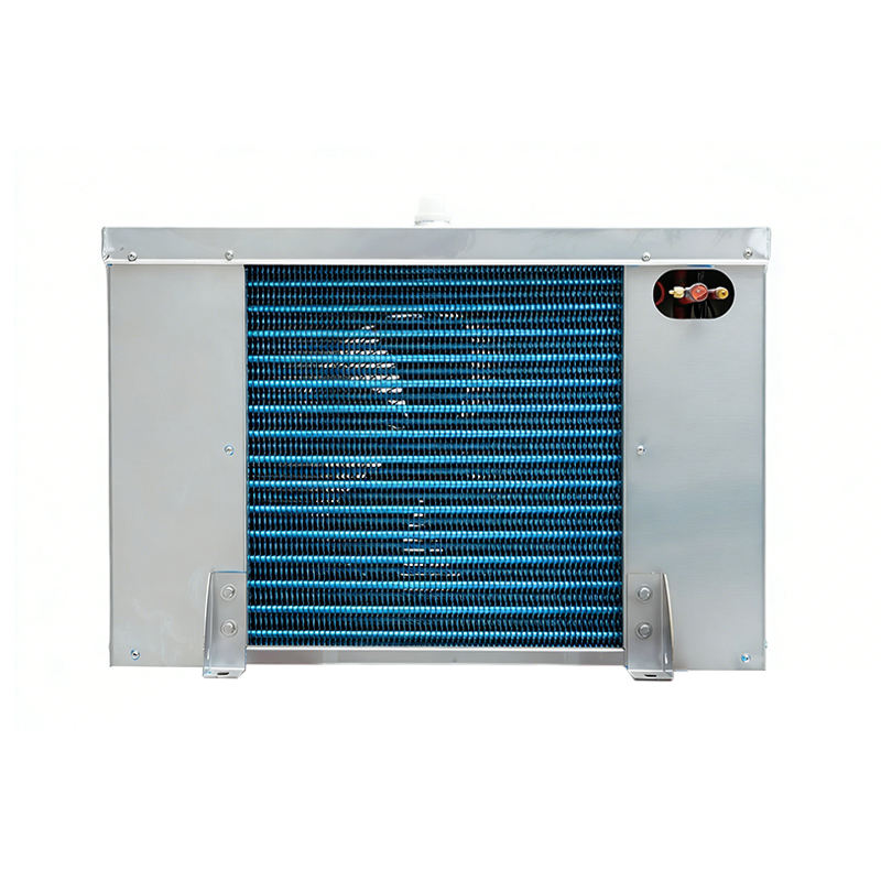 Hot Sale Good Heat Exchange DD Custom Freezing Air Cooler for All Frozen Food Industries