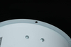 110V 220V AC Low Noise Axial Fan 300mm Stainless Steel Blade Custom ODM Cooling for Greenhouse