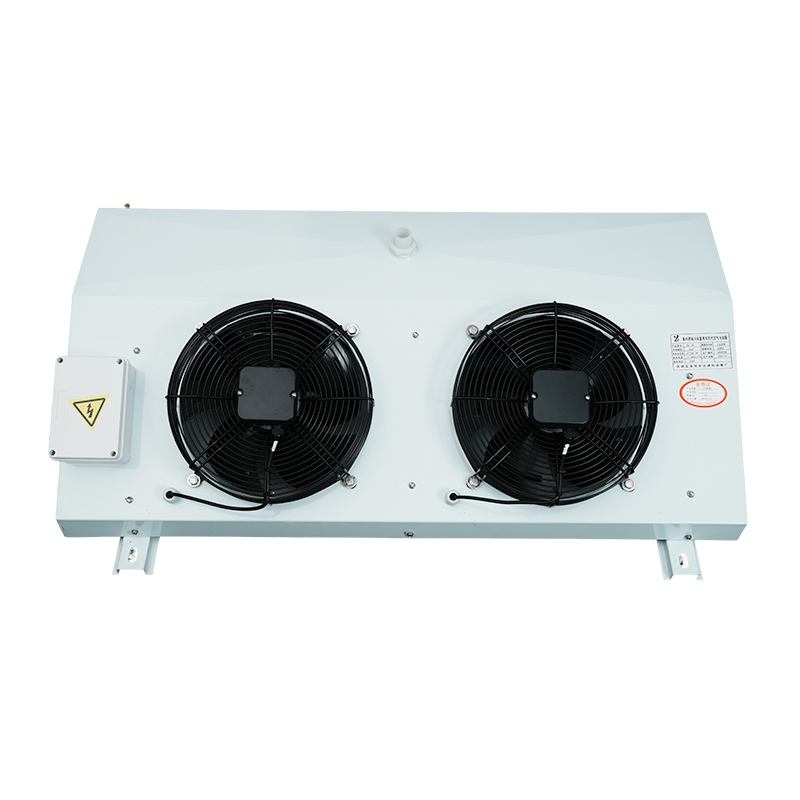 Air Cooled DL Evaporator for Medium Temperature Fresh Keeping Cold Room