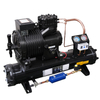 Industrial Grade Strong Cooling Capacity Box Type Refrigeration Group Semi-Hermetic Piston Unit Copeland Energy Saving